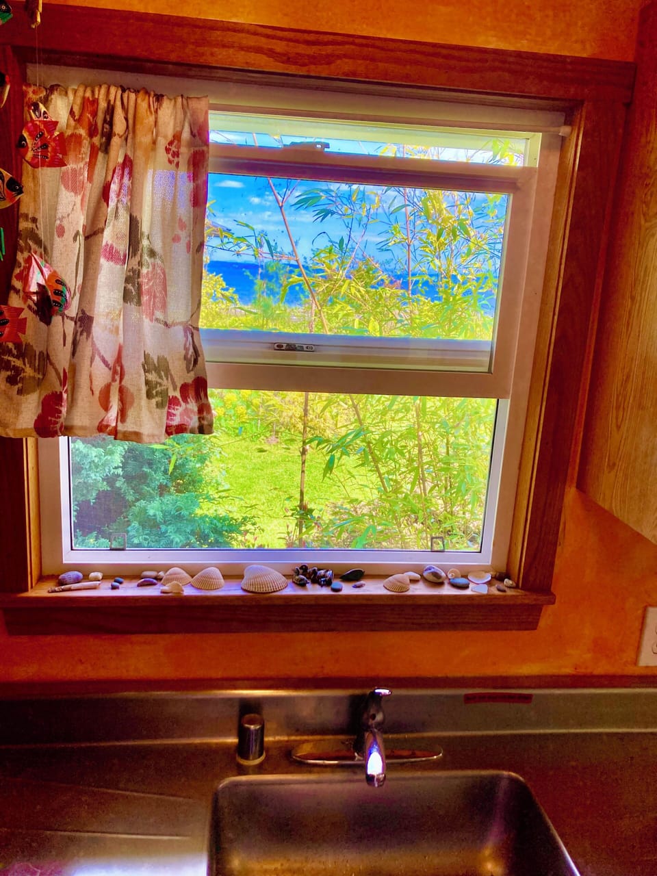 kitchen window