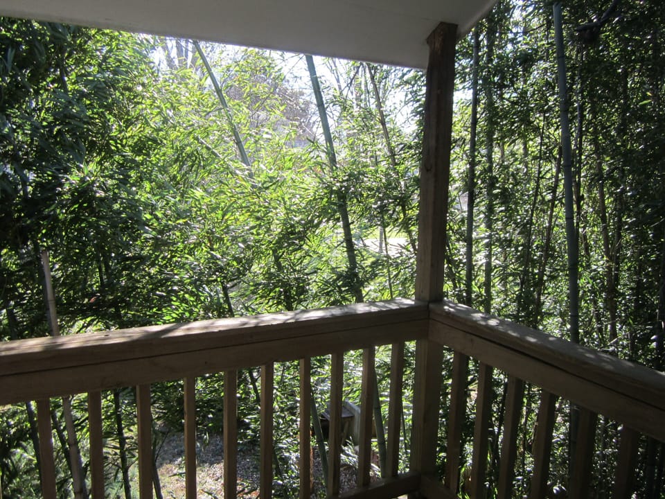 View of Bamboo surrounding property