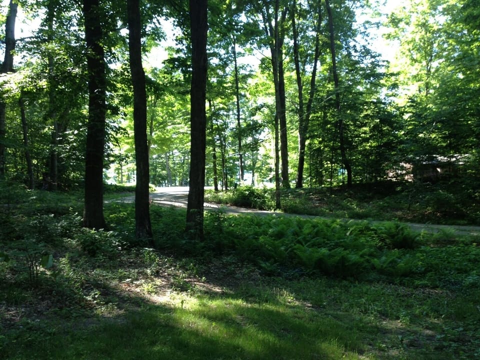 Surround yourself by the green woods on our property.
