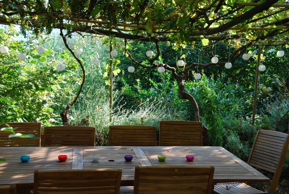 Dining area under vine pergola