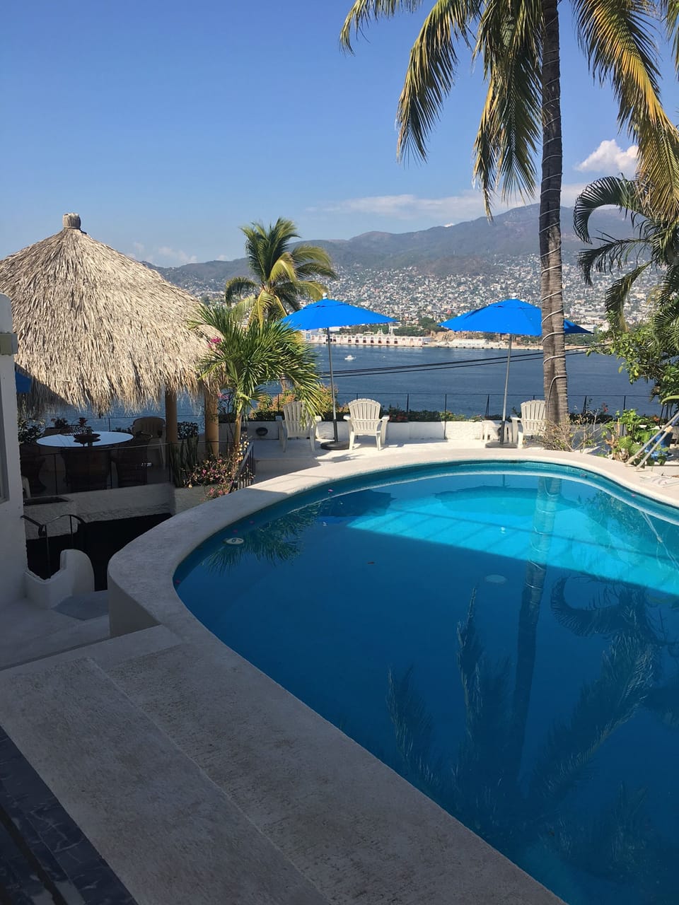 Pool, Palapa and Main Terrace