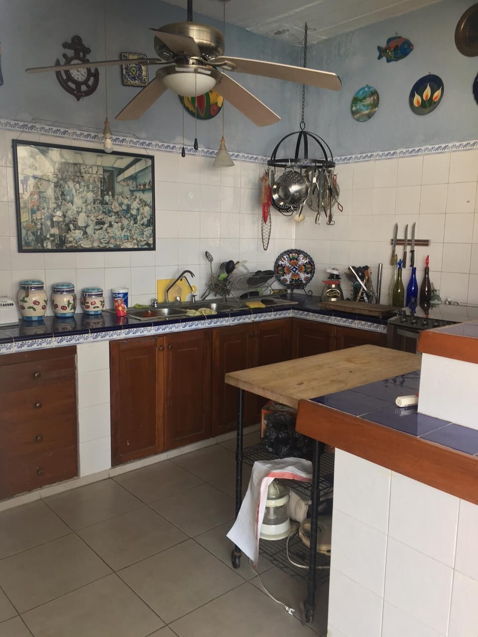 Gourmet Main Kitchen