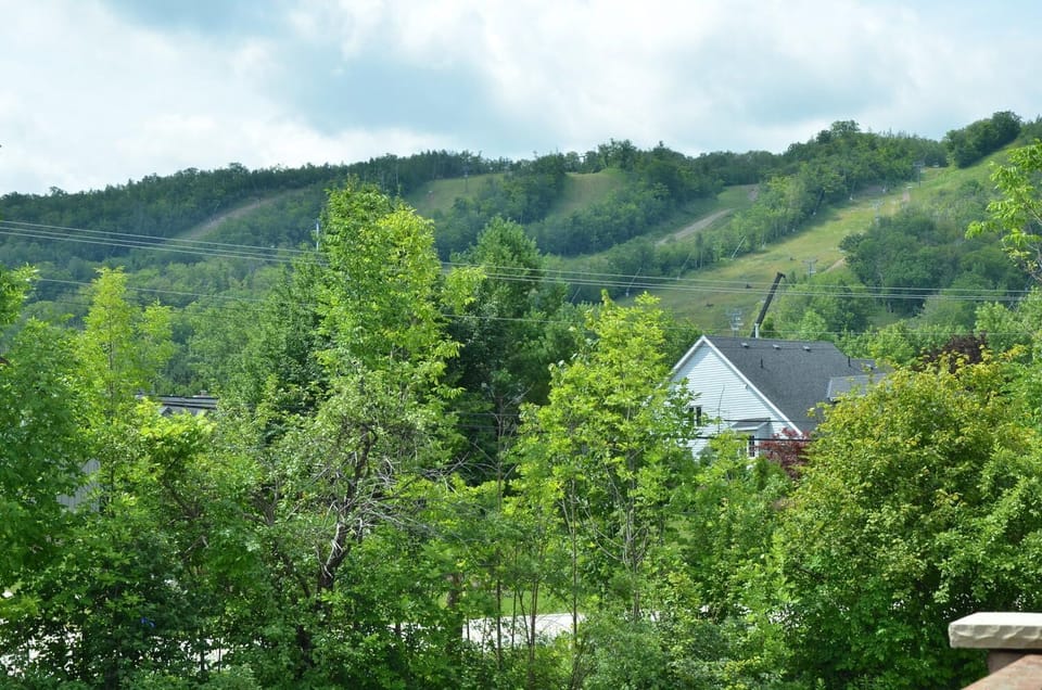 stunning views from the deck
