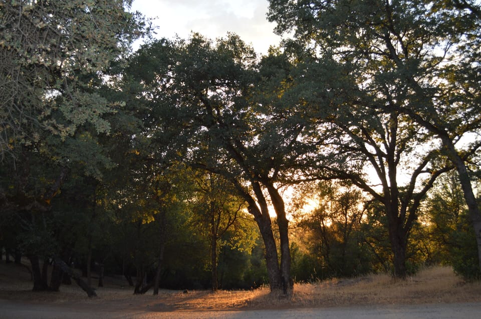 Summer in the foothills.  