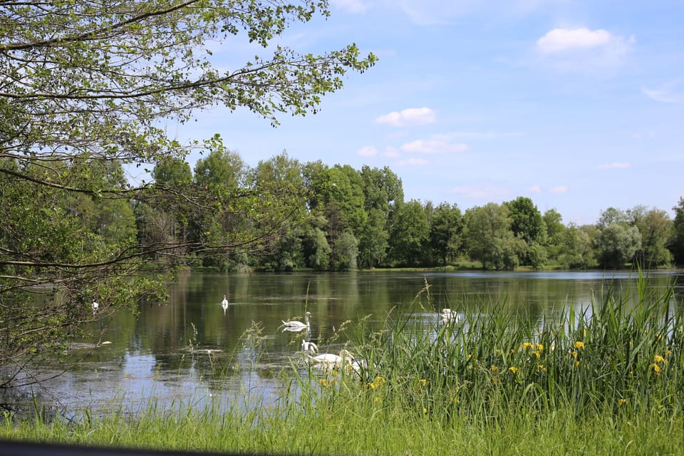Lake