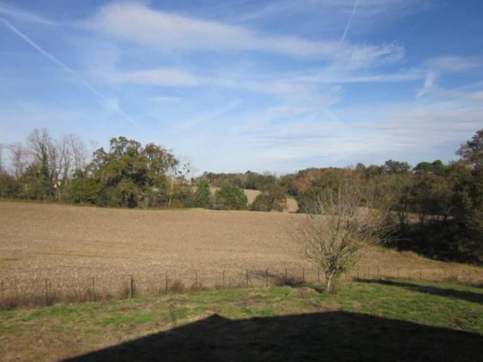 Garden, Park