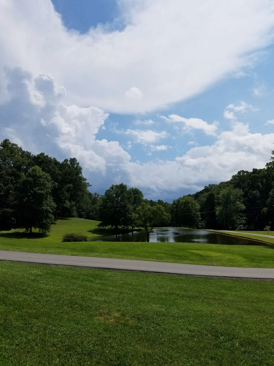 View from the pool area