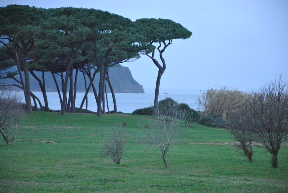our nearby Etruscan coastline