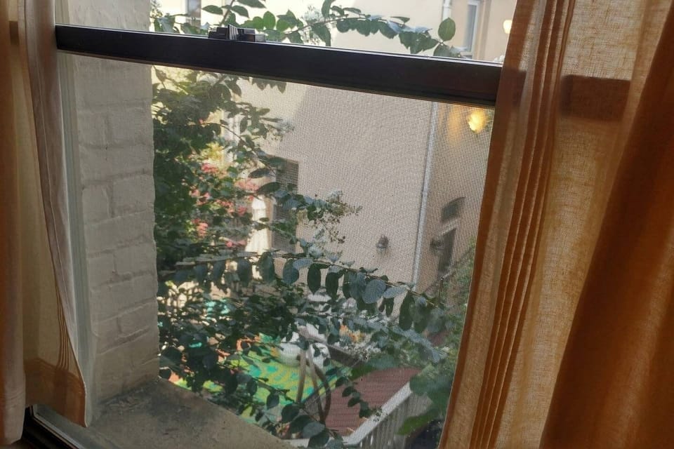 View from bedroom window.  Apartment has great light