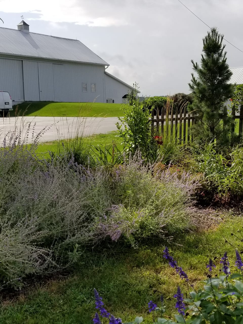 Garden in bloom