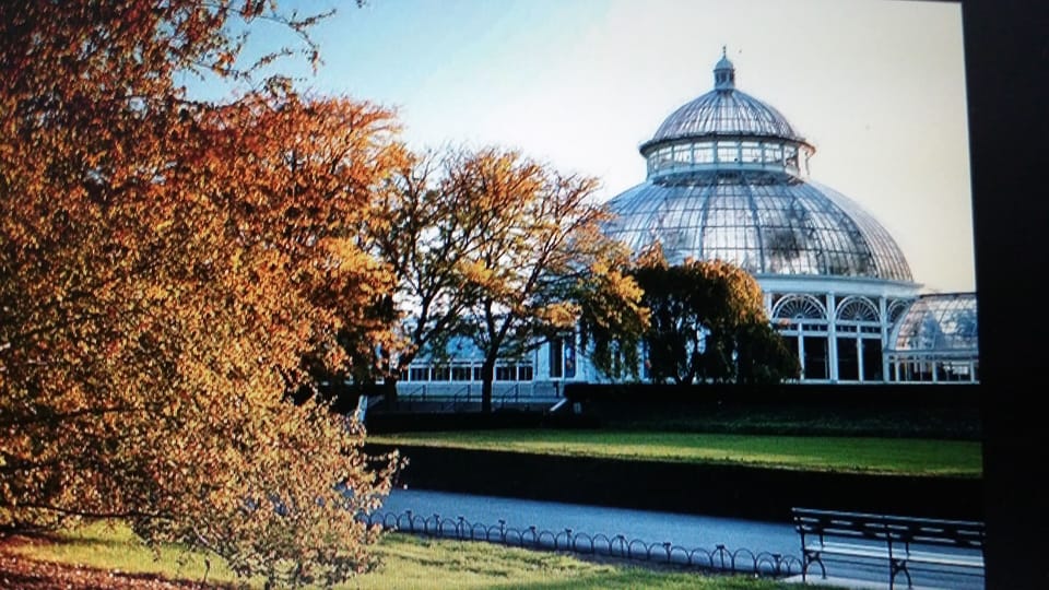 Bronx Botanical Gardens 
