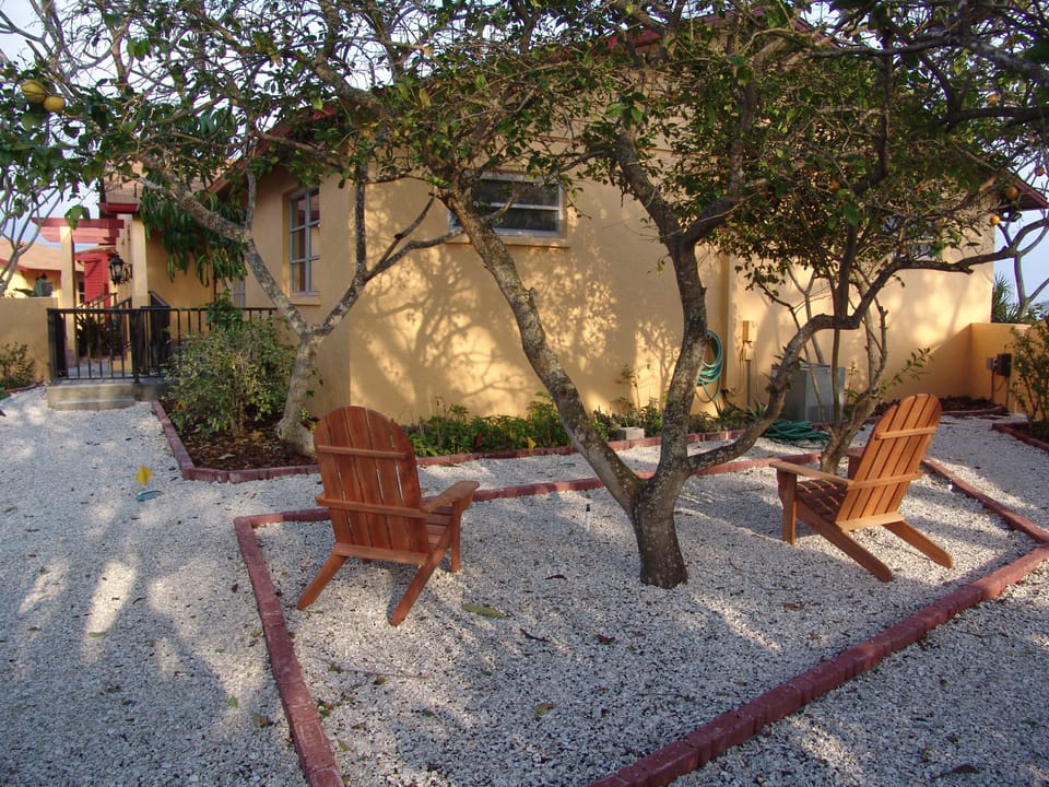 Side Court yard with Fruit trees