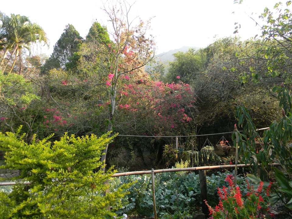 Trail from the main house to the studio 
