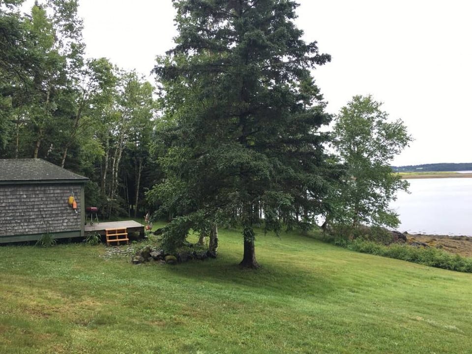 This cabin is 20 feet from the water and has lovely shade trees.