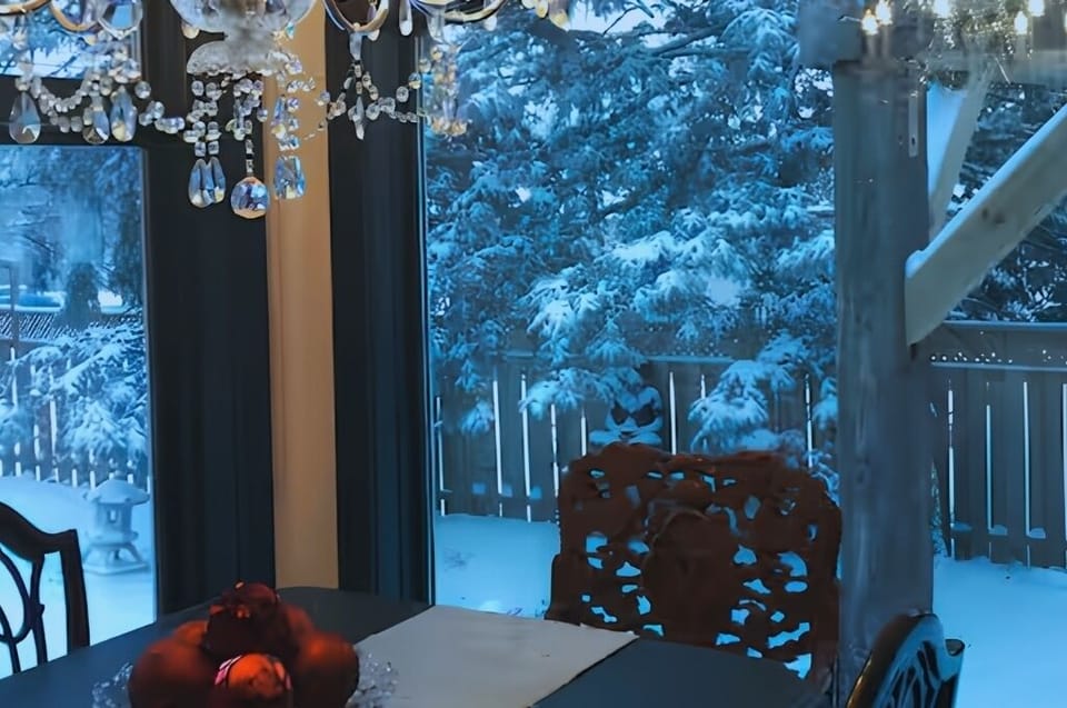 A beautiful winter view from inside the ZEN Retreat. 