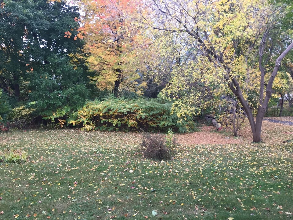 Large private backyard