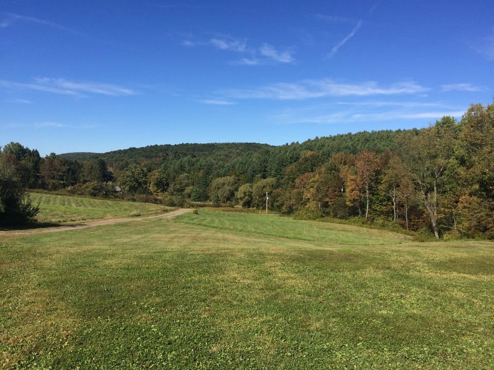 View from the front porch.  The neighbor's pond can be seen in the distance.