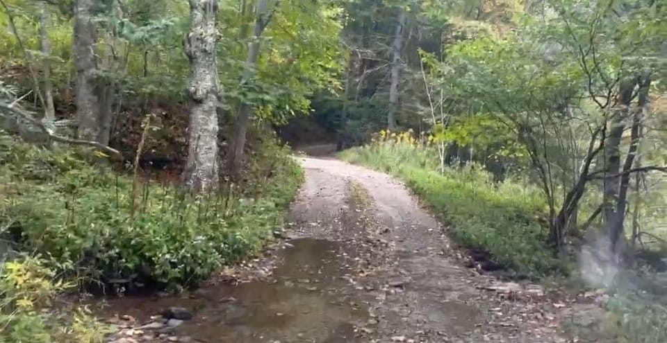 Stream you drive through to reach the house.