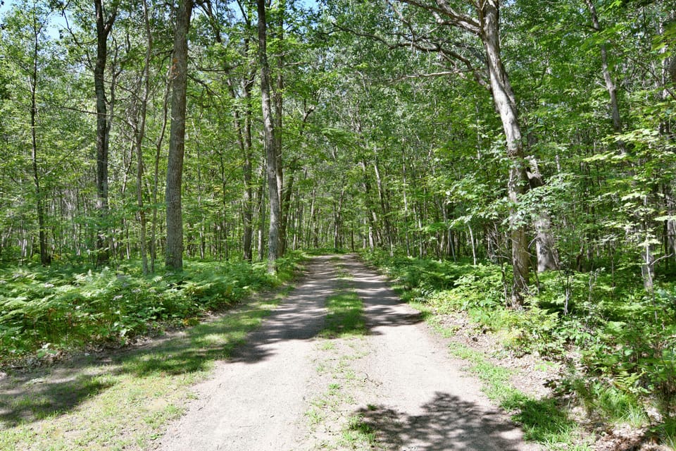 Drive into the cabin
