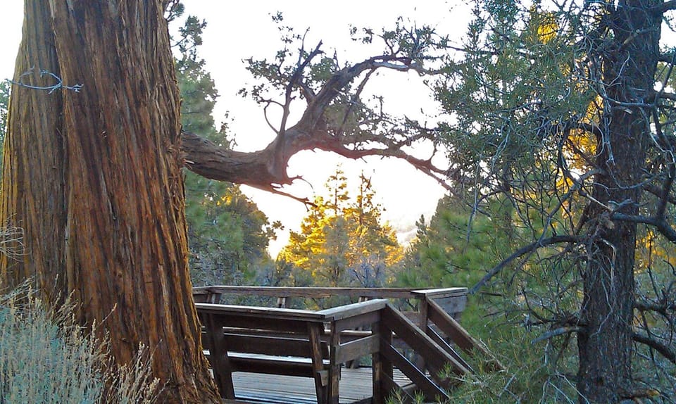 Star deck at top of property provides a secluded, peaceful nature experience.