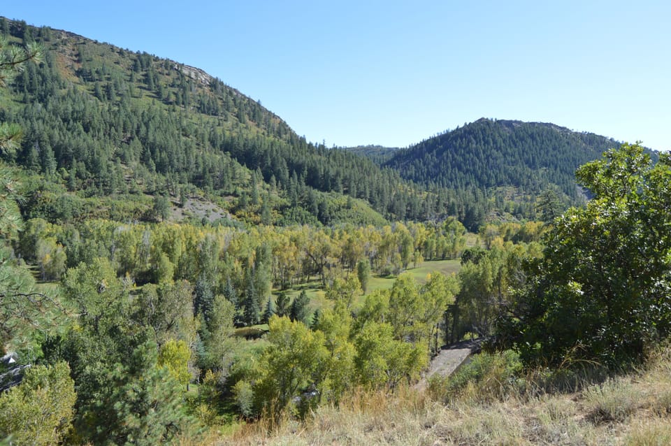 View off overlook at back of property
