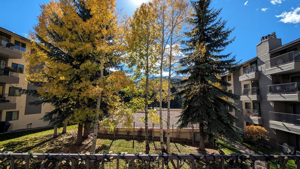View from balcony