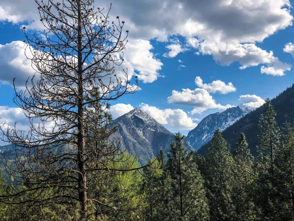 Breathtaking mountain views framed by pines and open skies