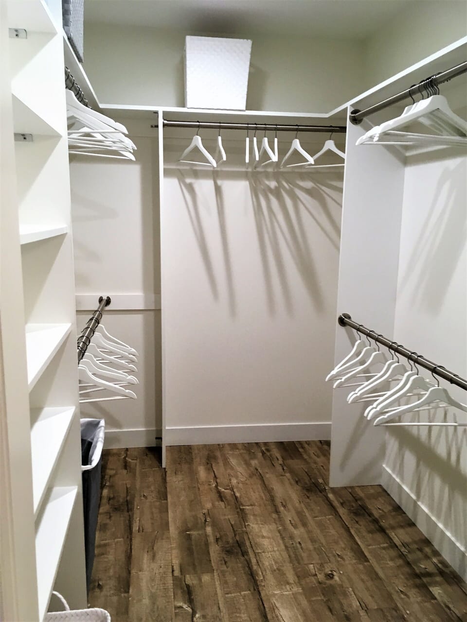 Master walk-in closet 