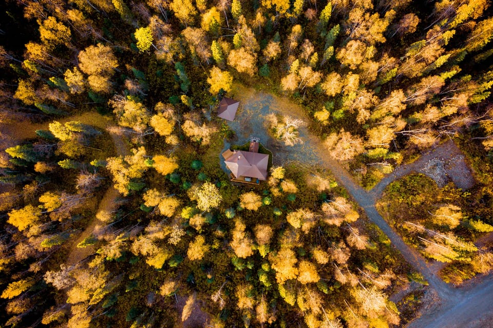 We wish the fall colors lasted longer.