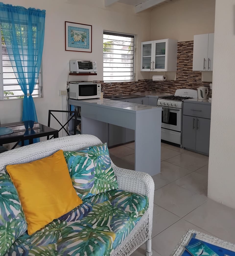 Living/dining/kitchen