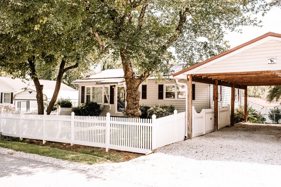 Jazzee's Diamond Pet Friendly 