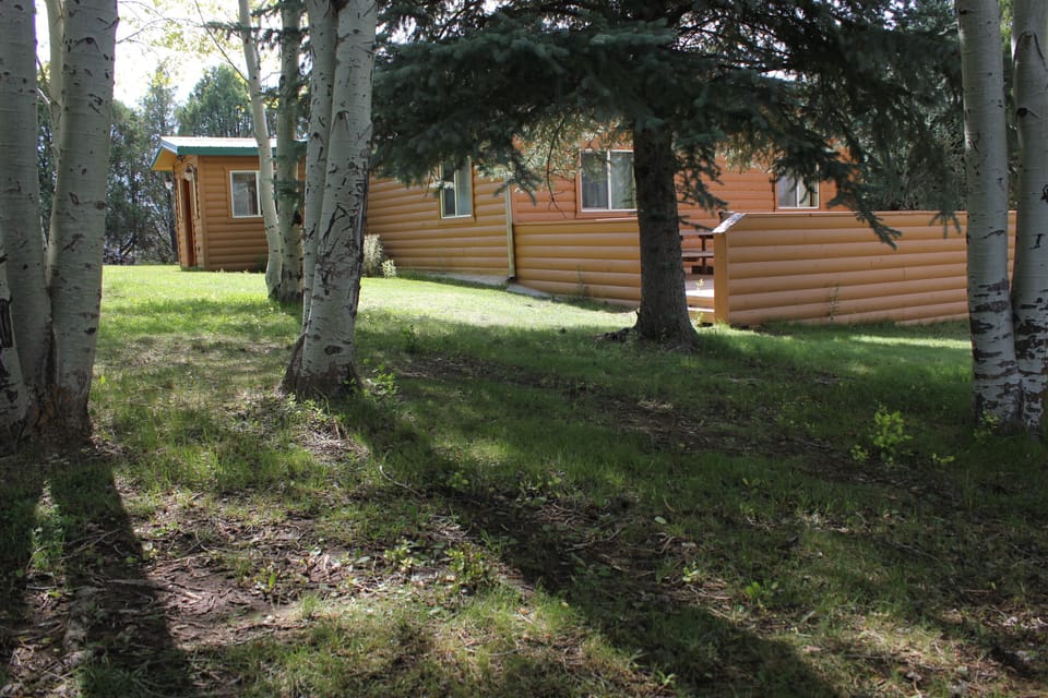 Side yard and BBQ Deck