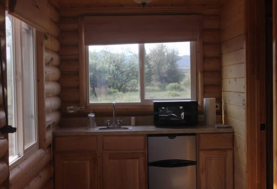 Kitchenette with sink, microwave and refrigerator. NO stove