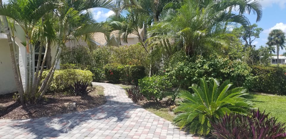 Small walking path around house.