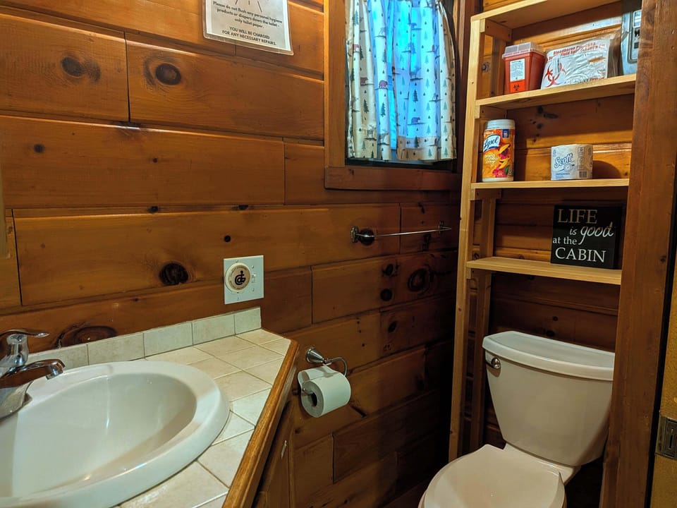 Toilet and Sink