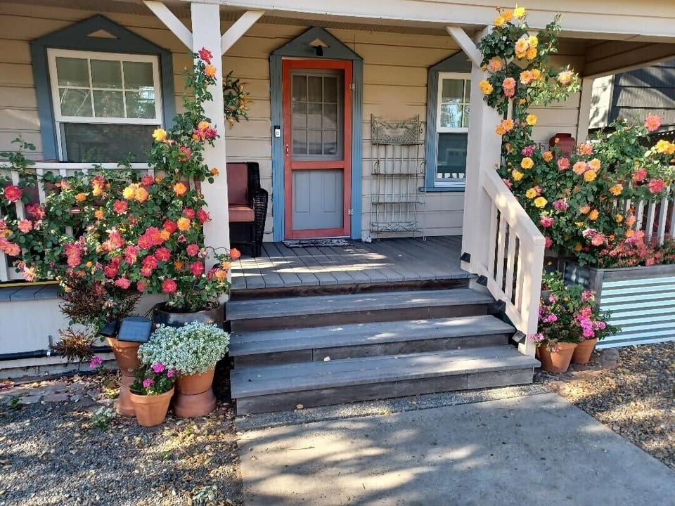 The roses aren't always in bloom, but when they are...wow!  Traffic stops...