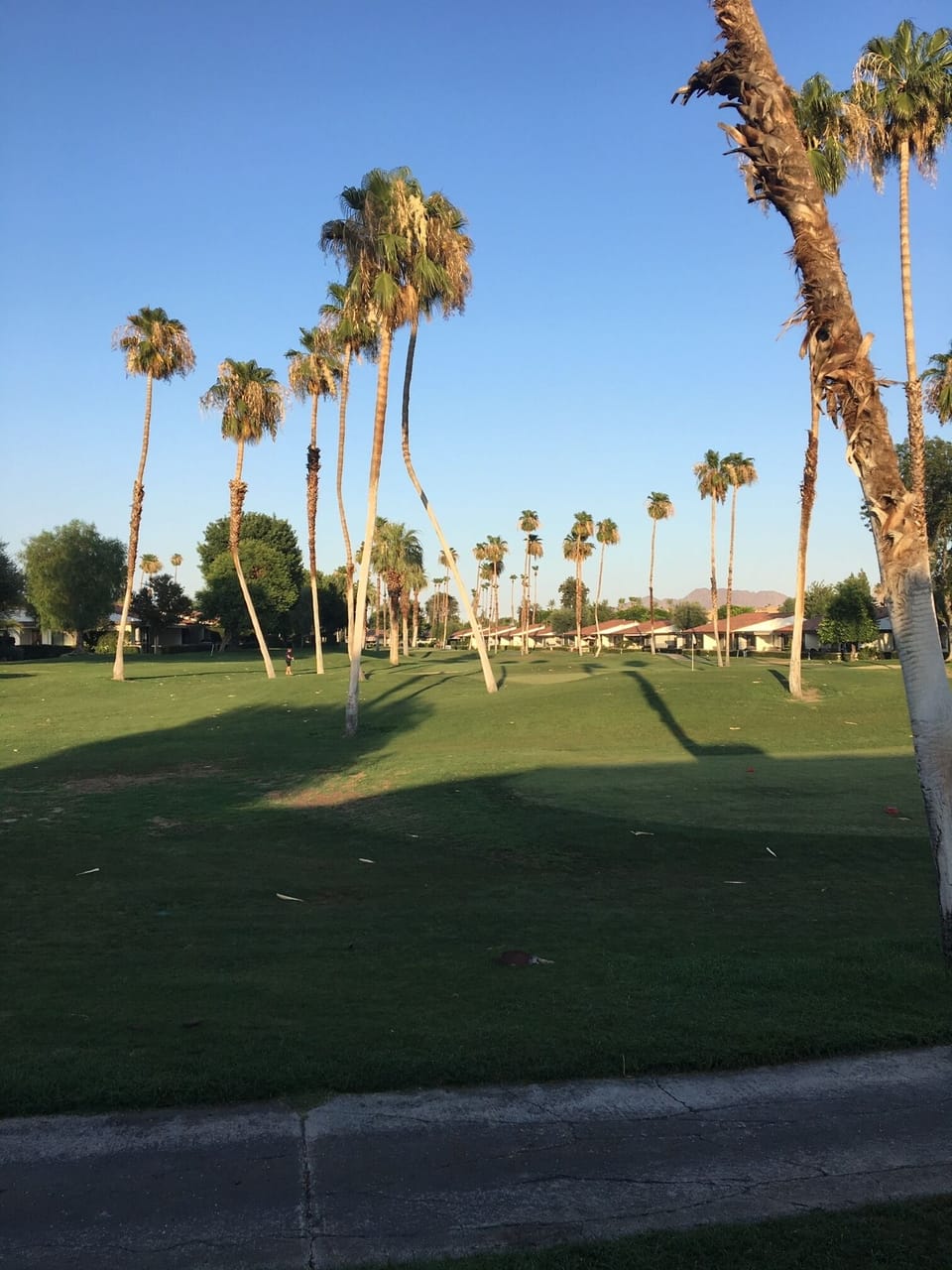View from the patio