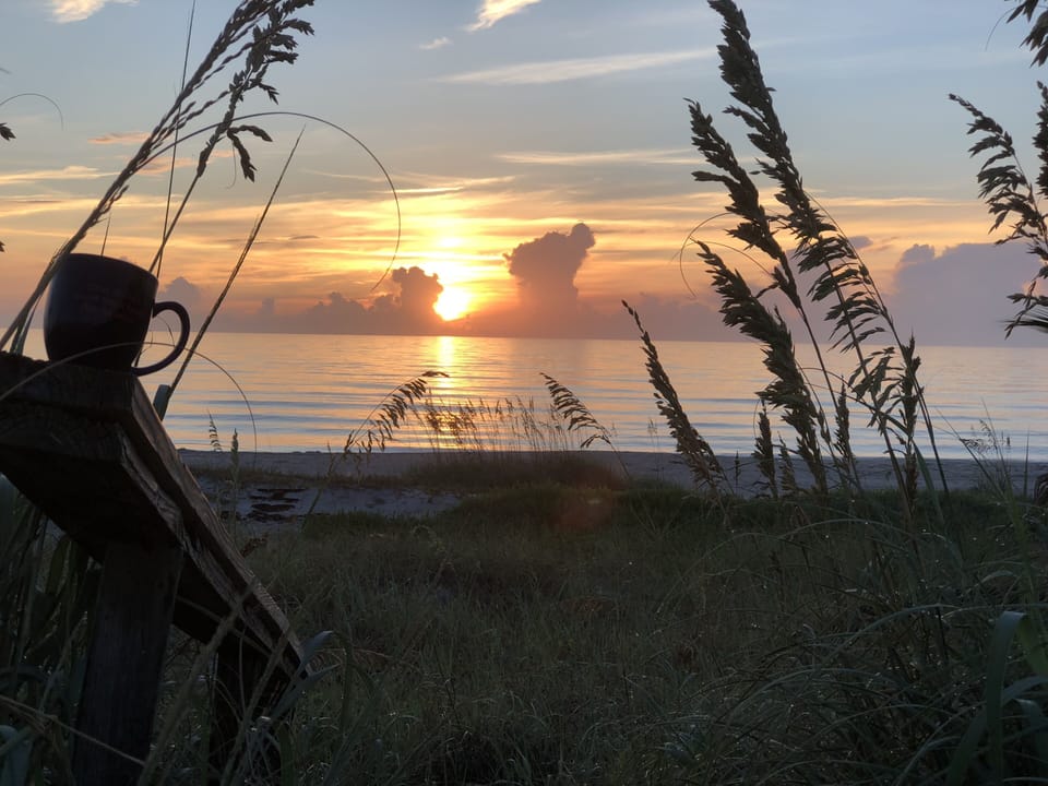 Surf shack oceanfront