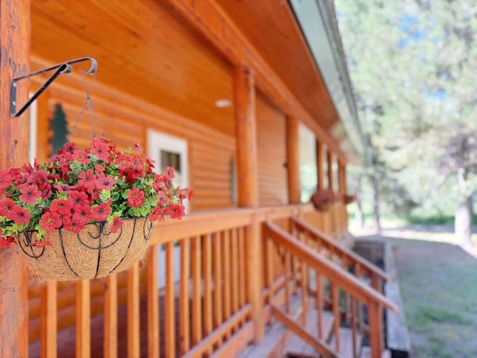 front porch view