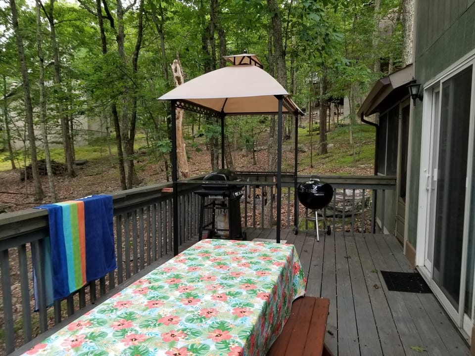 Large rear deck with canopy / 2 grills