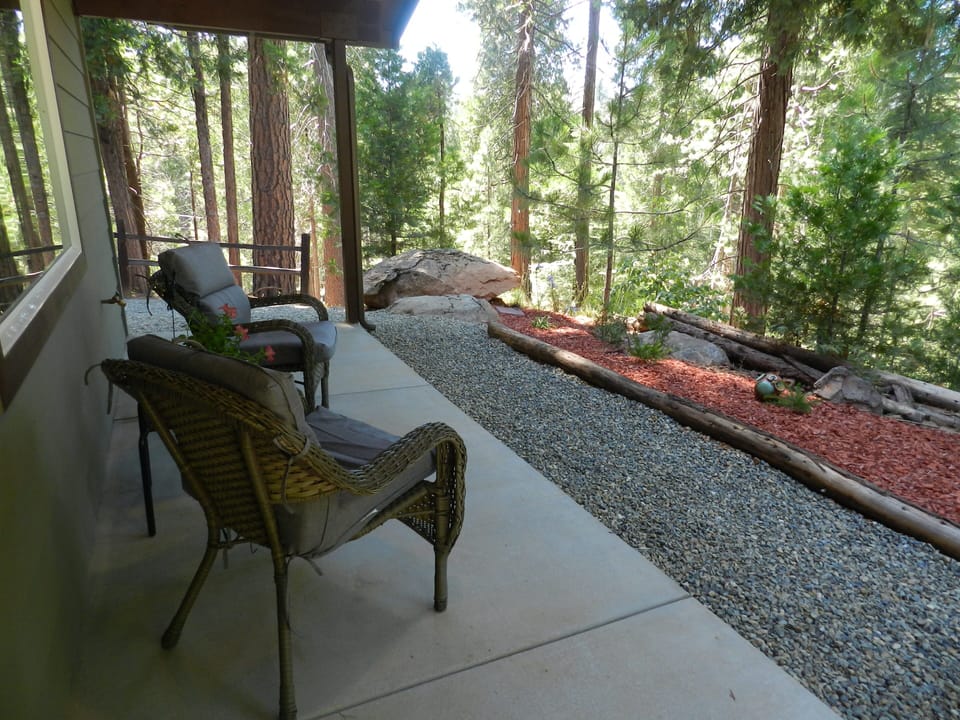 More views of the trees and wildlife
