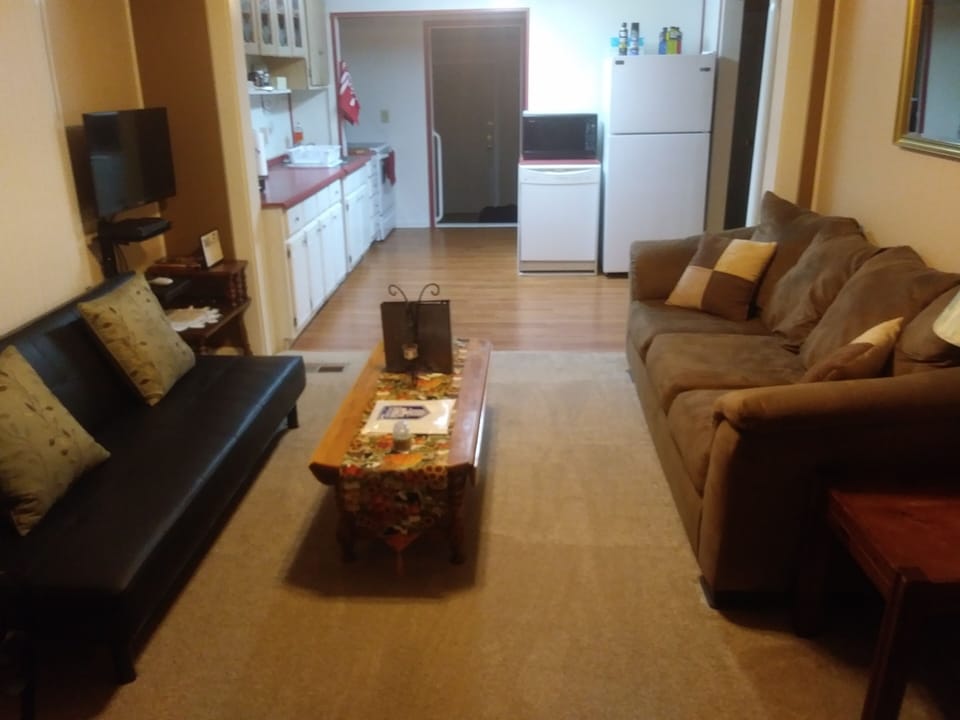 Living room with Roku TV.