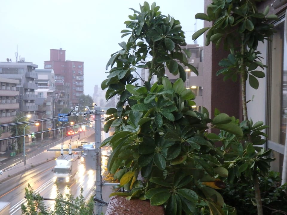 View from property