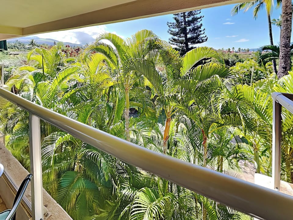 Lanai Views