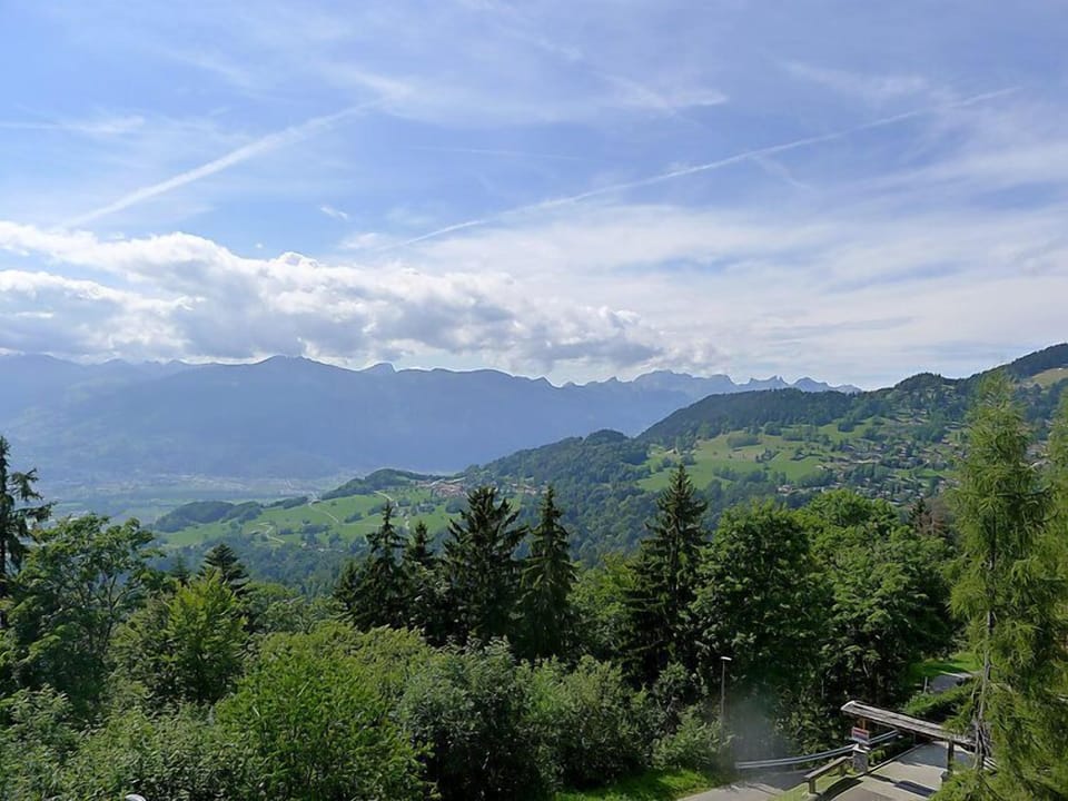 View