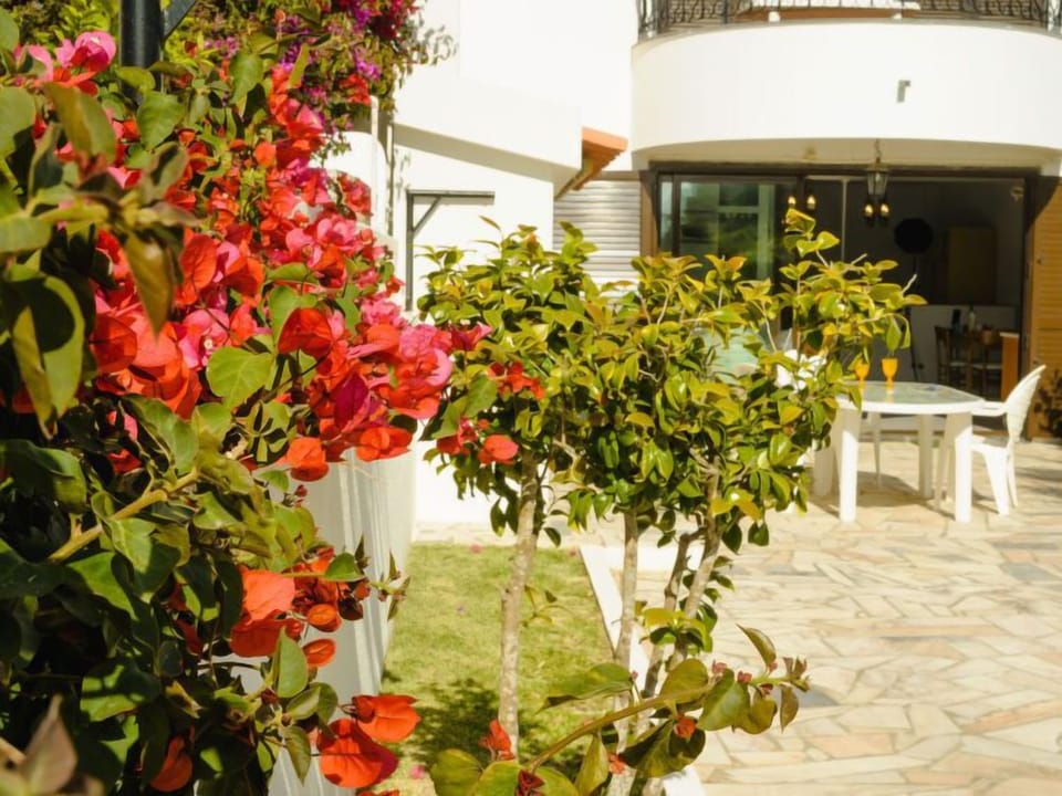 Outdoor