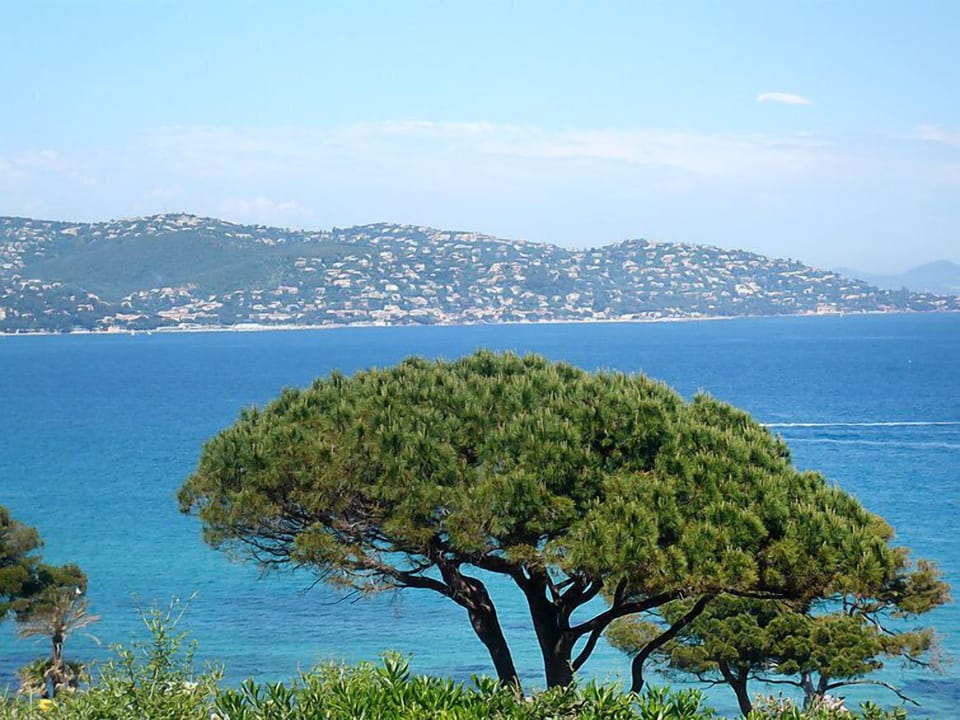 View