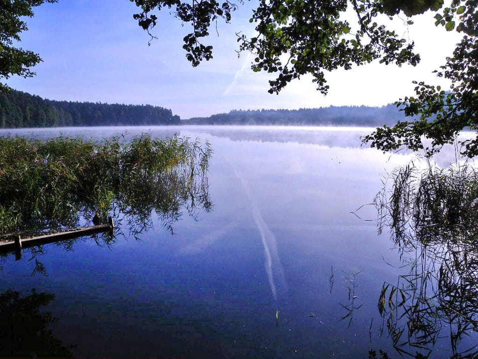 Place