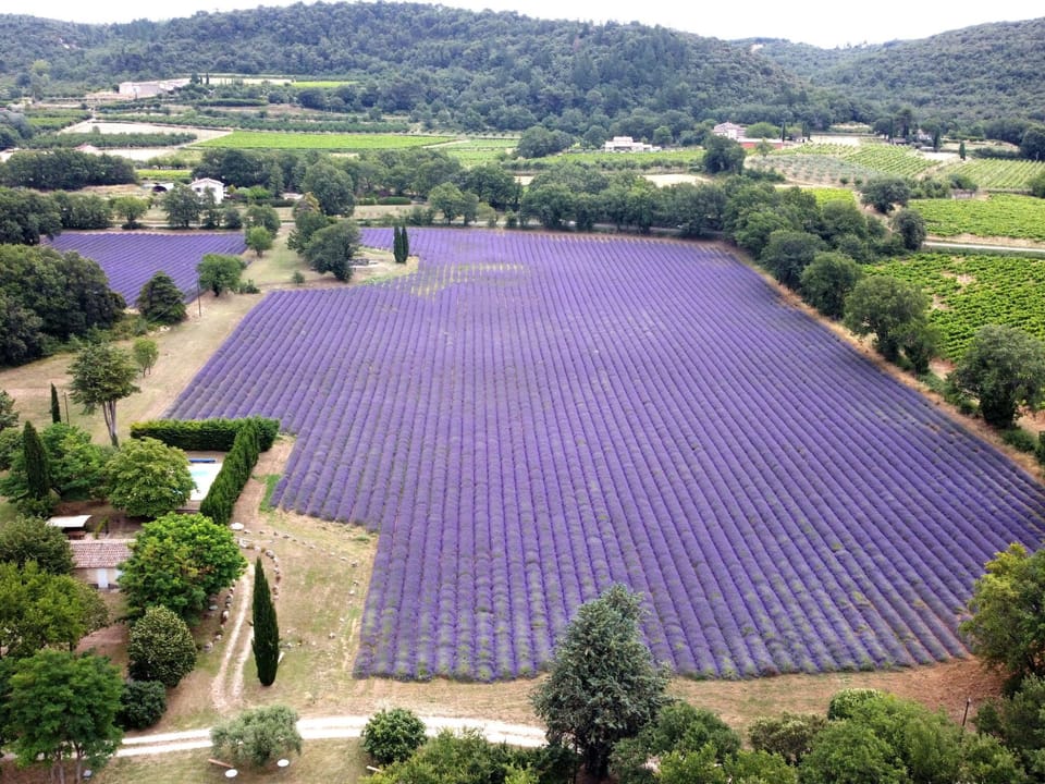 Aerial photography