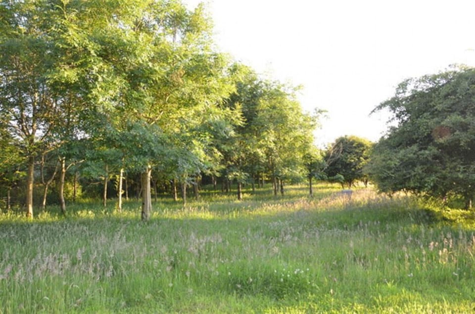 Enjoy the grounds 